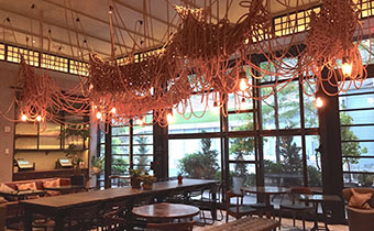 Kwangho Lee art piece made from electrical cord, sockets, and light bulbs hung above The Vine from ceiling
