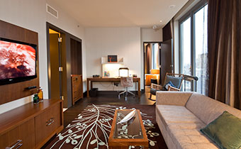 Viva suite living area  with coffee table and working desk 