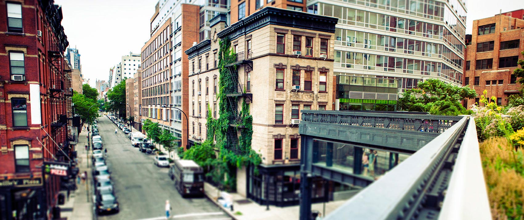 city buildings with green vines